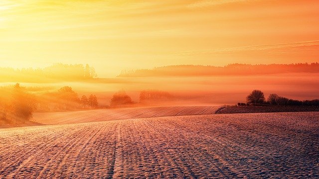 Innowacyjna formuła los ovados 200 se – co ją wyróżnia na rynku?